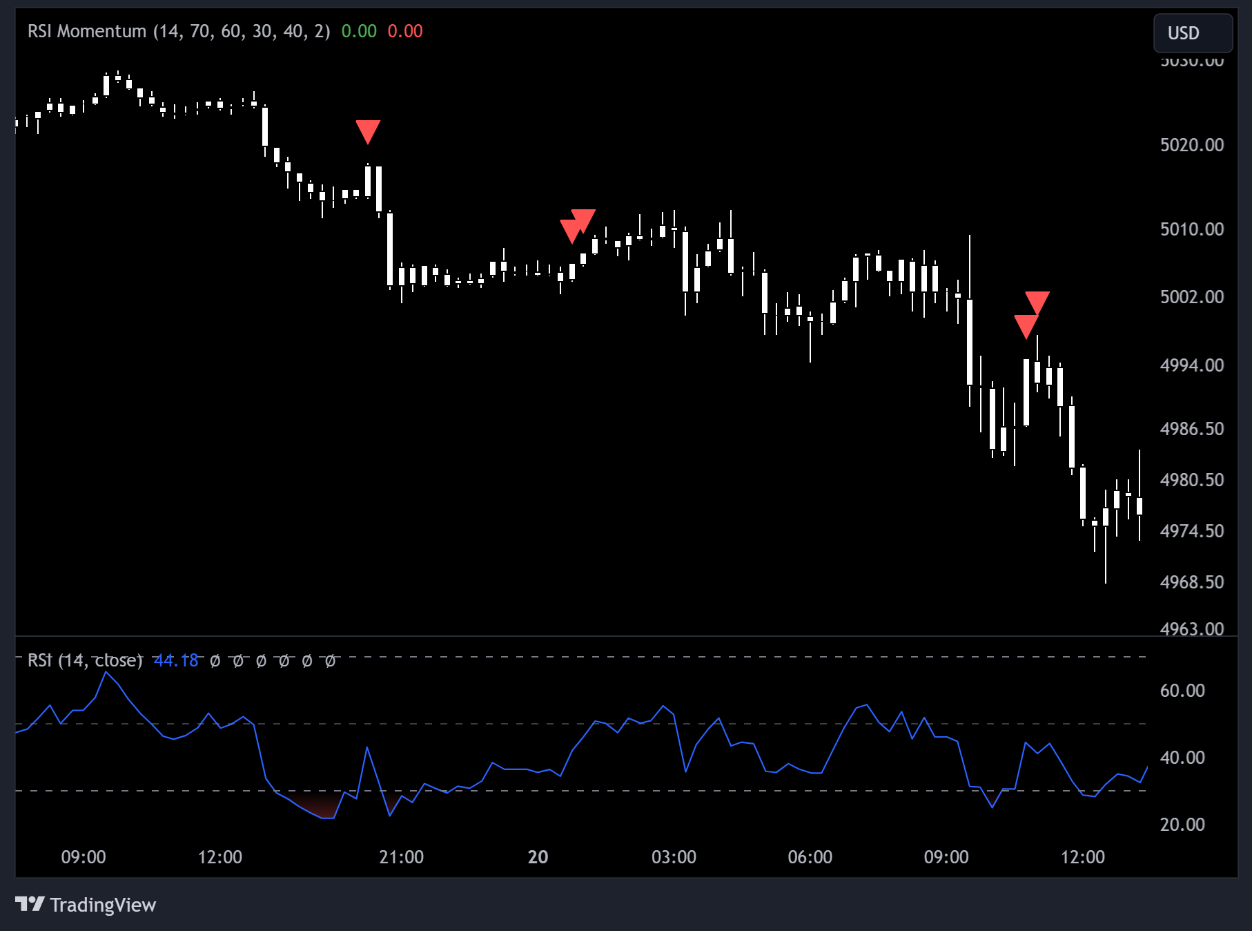 Image of the RSI Momentum TradingView Indicator